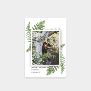 watercolor ferns photo save the date